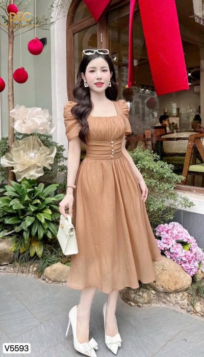 Desi Dress V5593