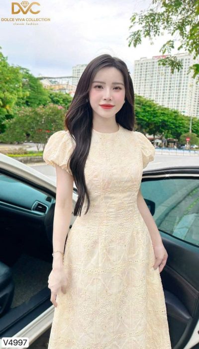 Brooklyn Dress V4997