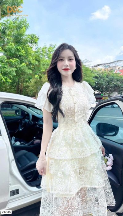 Dakota Dress V4615